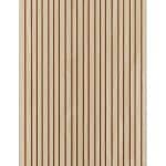 Accent Digital Ad-Coustiko 6-19-24 (détail).